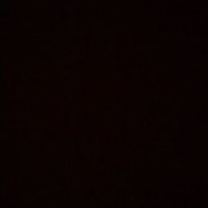 Meet your Posher, Dasha